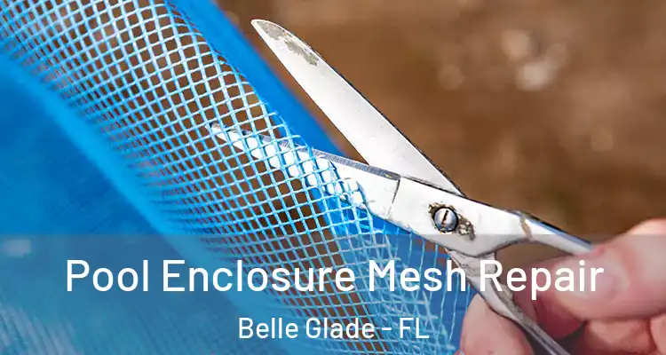  Pool Enclosure Mesh Repair Belle Glade - FL